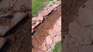 Скимер для пруда своими руками