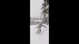 Сноуборд 23/24