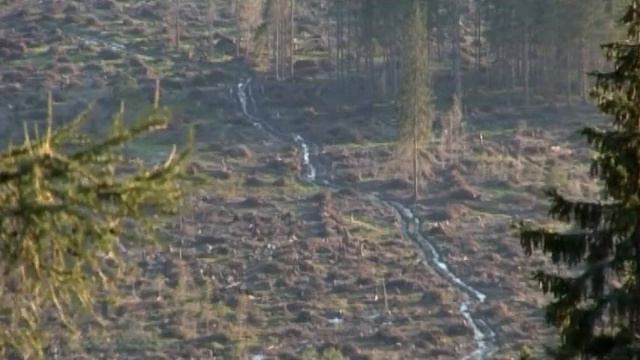 Albinoni/Giazotto - Adagio (violin and accordion) смотреть онлайн