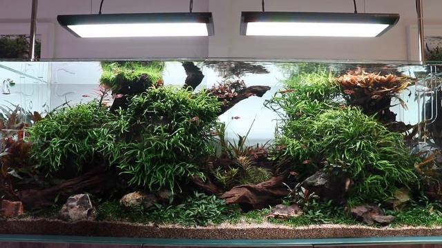 Aquascaper 1500 Nature Aquarium Aquascape - New Life Aqua Master Pro RGB LED