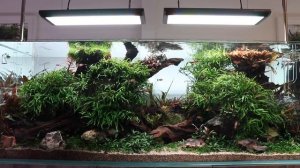 Aquascaper 1500 Nature Aquarium Aquascape  - New Life Aqua Master Pro RGB LED