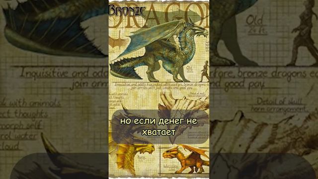 D&D | Бронзовый дракон за минуту #днд #dnd #dungeonsanddragons #подземельяидраконы #нри #дракон