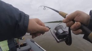 База "Рыбный край". Джиг и троллинг на Волге и Ахтубе.