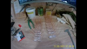 Тверские кормушки осень 2021