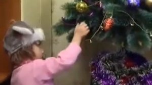 Шульц Балашиха-"Человек и закон"