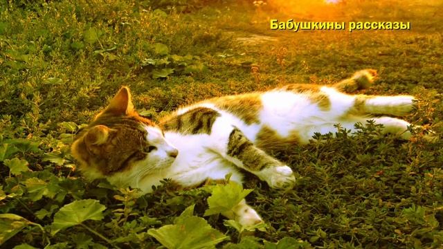 Alexander Lepp - Утро в деревне (имитация животных звуков) смотреть онлайн