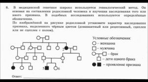 ВПР по биологии 2021 год. 11 класс.