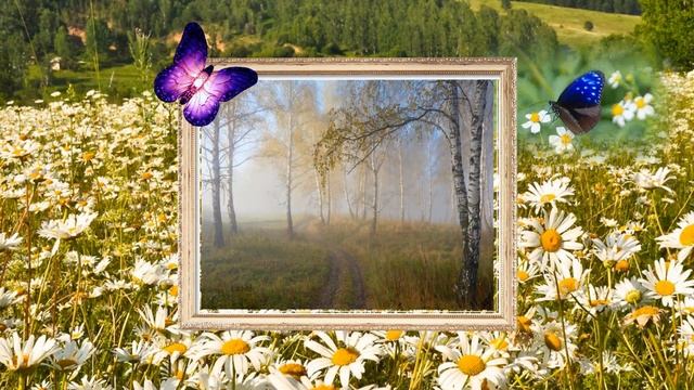 Сергей Есенин "В этом мире я только прохожий".Исп и монт Ирина Волжанина смотреть онлайн