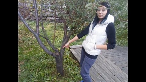 Реквием_по_российскому_садоводству