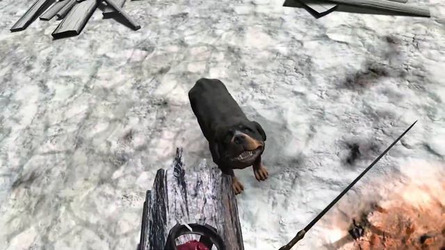 А где мясо? Один один Бобик, в следующий раз я у тебя сучку уведу. Мармок VR смотреть онлайн