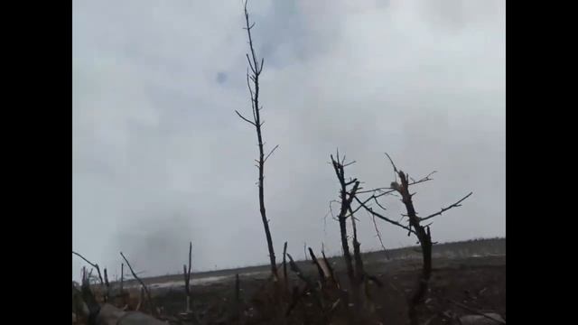 Алёшки России смотреть онлайн