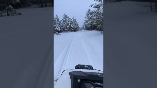 Снегоход «Стелс-Викинг» смотреть онлайн