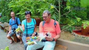 ЭКСКУРСИИ НА ЛАНГКАВИ  ПАРК ДИКОЙ ПРИРОДЫ ЛАНГКАВИ ? LANGKAWI WILDLIFE PARK MALAYSIA.