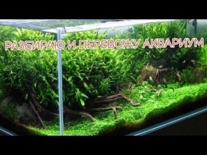 КАК РАЗОБРАТЬ И ПЕРЕВЕЗТИ АКВАРИУМ