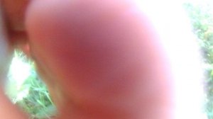 Ловля хариуса