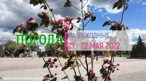 Погода на выходные 21-22 мая 2022 г.