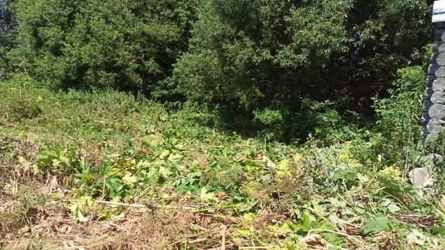 домик бабы Яги ?? смотреть онлайн