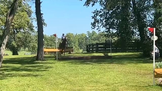 Robin King and her Splash of Sass, TIP Reserve Champion at AEC s 2023 смотреть онлайн