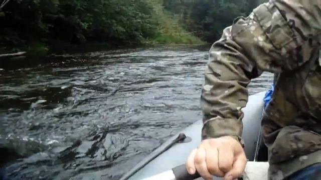 Тихвинка 2020 г. смотреть онлайн