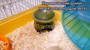 Что должно быть в клетке у хомяка? Обзор на клетку!? #хомяк #клетка #джунгарскийхомяк #уходзахомяко