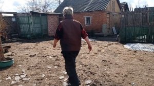 Первая прогулка коровы и теленка.Страшно,весело.