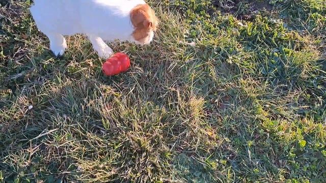 87 ГДЕ БЛИНЫ, ТУТ И МЫ смотреть онлайн