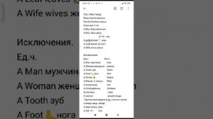 Множественное число существительных в английском языке. 5 класс