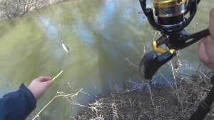 Майский голавль на Оке. Рыбалка в Орловской области