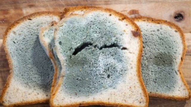 гнилой хлеб смотреть онлайн