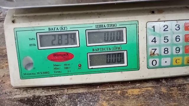 Вес бройлера в 40 дней