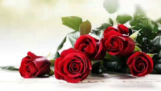 С_ДНЕМ_РОЖДЕНИЯ_МУЗЫКАЛЬНАЯ_ОТКРЫТКА_ПОЗДРАВЛЕНИЕ.mp4