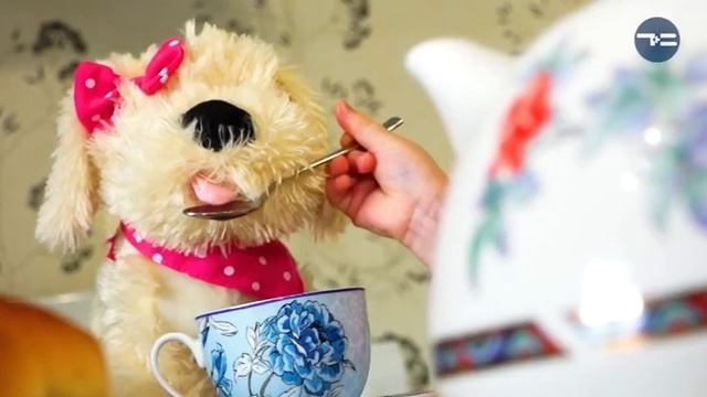 Травушка-муравушка: собираем, завариваем - и лечимся! смотреть онлайн