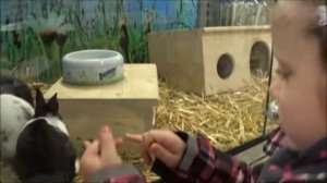 ВЛОГ Животные Смешные животные зайчики рыбки мышки Приколы с животными pet shop animals vlog