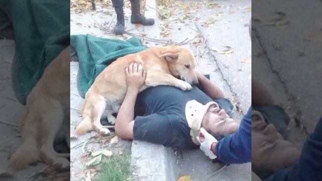 Притча, о верности и
Предательстве.