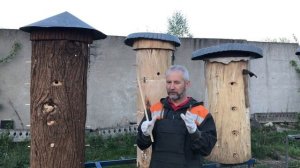 Колода для пчёл. Обзор