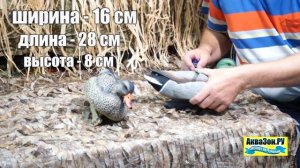 Чучела уток кряква 6_6 Final Approach