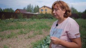 Слизни. Как бороться со слизнями.