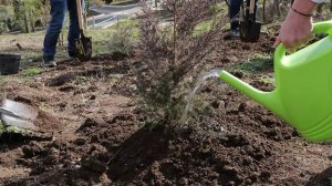 Артек 2022. 3 смена. Эко артек.mp4