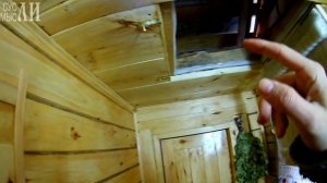 Банька из осинового бруса / Ответы на вопросы
