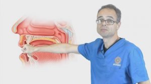 Жевание с языком, мьюинг по русски, mewing по русски