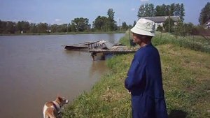 Пруд для разведения рыбы карп.