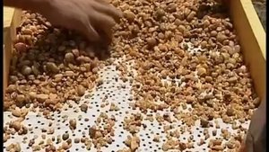 После просмотра узнаете как  сделать алмаз дома