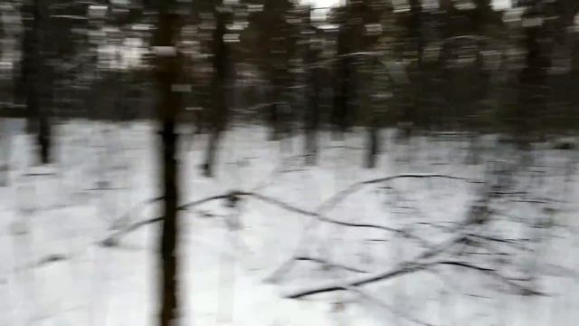 Жарим сардельки в Лесу! смотреть онлайн