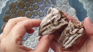 ХУРМА, ВЯЛЕНАЯ ЦЕЛИКОМ ?