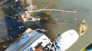 Ловля окуня на зимнюю блесну по открытой воде.