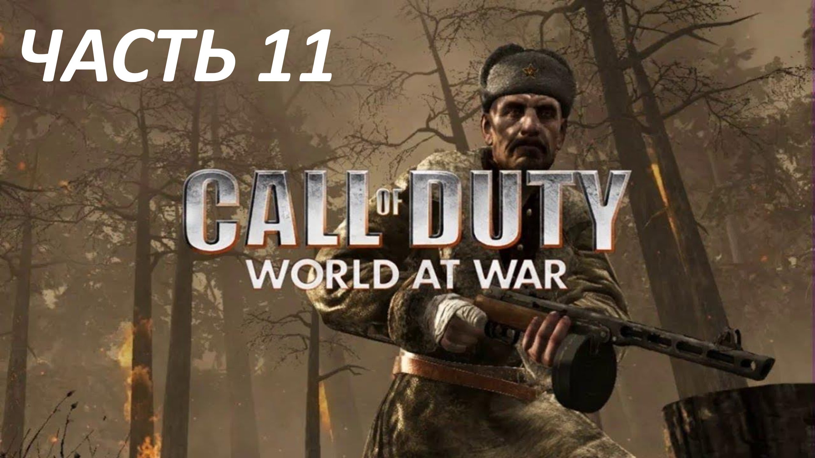 CALL OF DUTY WORLD AT WAR ЧАСТЬ 11 ЧЁРНЫЕ КОШКИ