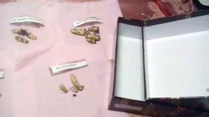Ахименесы - подготовка и хранение ризом к периоду покоя (зимовке)