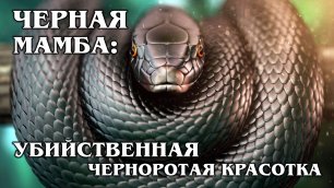 ЧЕРНАЯ МАМБА: Самая опасная и быстрая в мире змея | Интересные факты про змей и рептилий