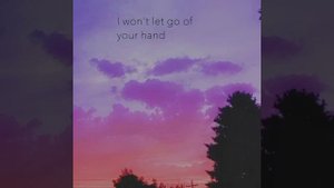 Regina Spektor  - two birds on a wire | but all chorus's are mixed