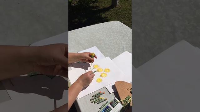 М/К "Этюд с одуванчиками" (пдо Яковлева Н.А.) смотреть онлайн